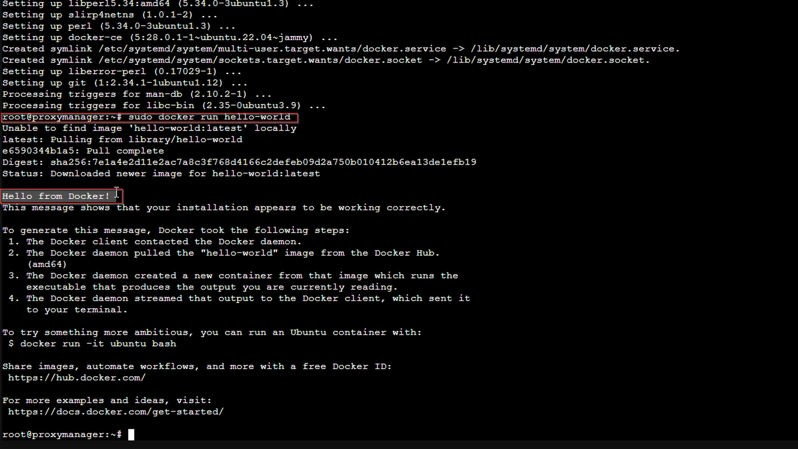 How to Setup The Nginx Proxy Manager and DuckDNS for Local SSL ...
