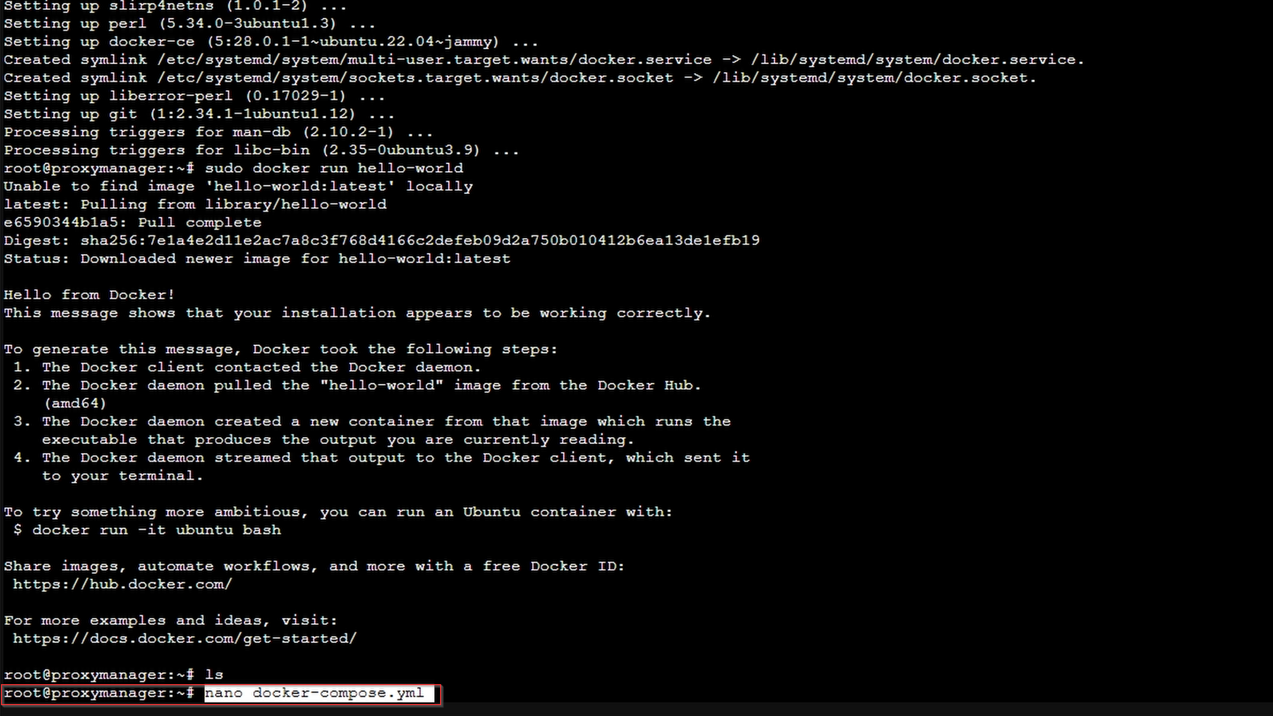 How to Setup The Nginx Proxy Manager and DuckDNS for Local SSL ...